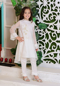 White Shimmer Net with Applique Embroidered