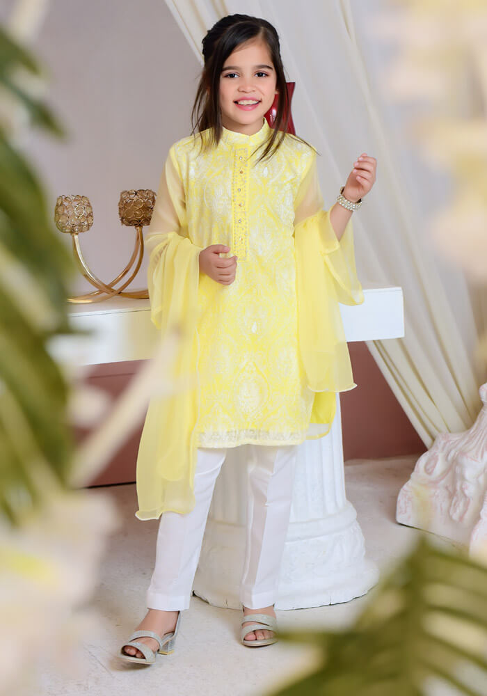 OFW 229 - Lemon Yellow Chiffon with Embroidery - 3PC Suit