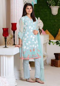 OFW 230 - Mint Chiffon Fully Embroidered - 3PC Suit