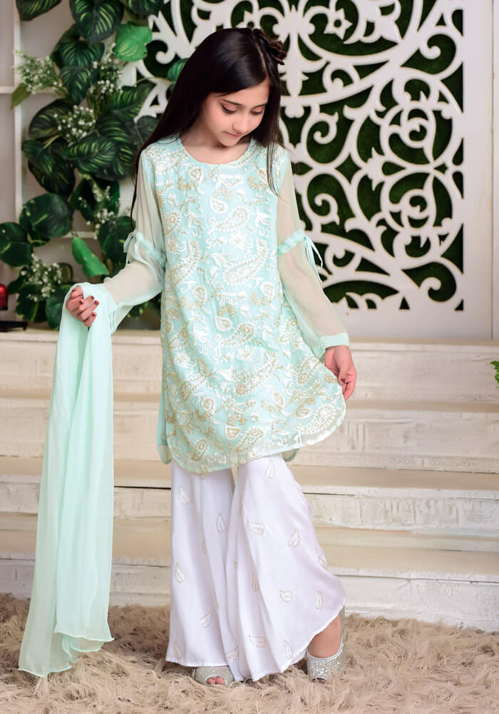 Mint Chiffon Fully Embroidered with Lining Inside - 3PC Suit
