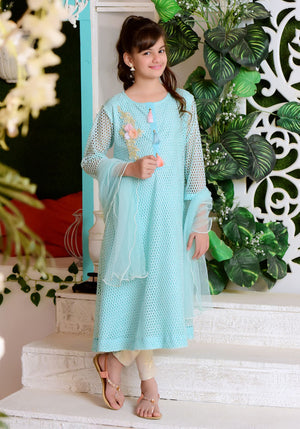 Mint Green Net with Applique Embroidered - 3PC Suit